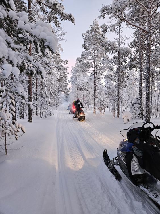 Guided snowmobile tours